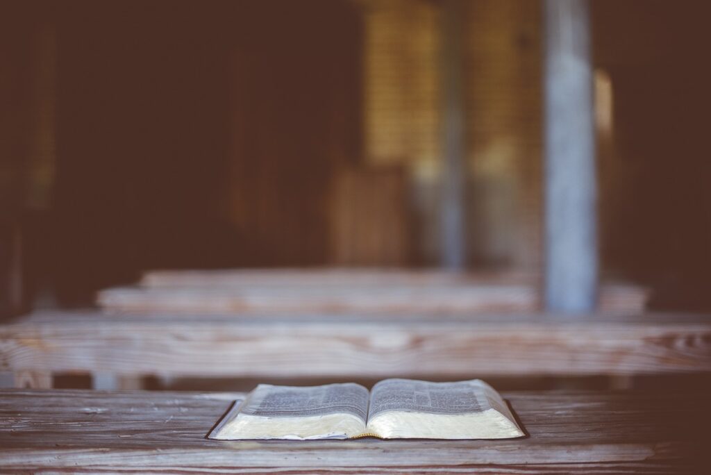 La Bibbia in un Anno: leggere tutta la Bibbia in 365 giorni